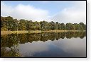 baronie van breda leemputten boswachterij dorst mastbos chaamse bossen Liesbos Vuchtpolder hdr bos Strijbeekse Heide staatsbosbeheer